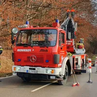 thl_einsatz_-_baum_auf_strasse_2_20191216_1261955188.jpg