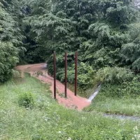 Hochwassereinsatz Thannhausen am 01.06.24_12.jpg