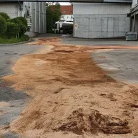 Ausgetretenes Pflanzenöl in Thannhausen am 20.05.21_3.jpg