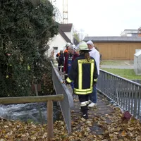 stier_in_muehlbach_am_061115_5_20151113_1017125310.jpg