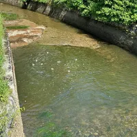 Kleintierrettung in Thannhausen am 19.05.24_1.jpg