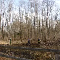 Flächenbrand GZ12 Bayersried-Balzhausen am 25.02.14_5.jpg