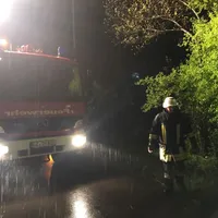 baum_ueber_fahrbahn___in_der_mindel_in_thannhausen_am_250417_3_20170426_1877203493.jpg